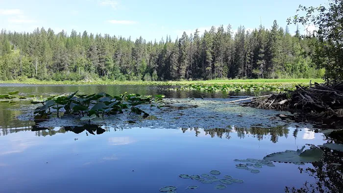 Brush Lake Campground Picture 2