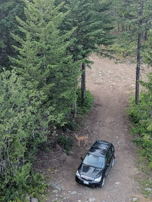 Deer Ridge Lookout Picture 10