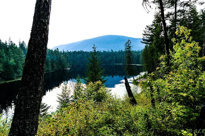 Robinson Lake Campground Picture 4
