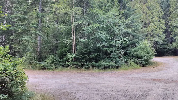 Robinson Lake Campground Picture 2