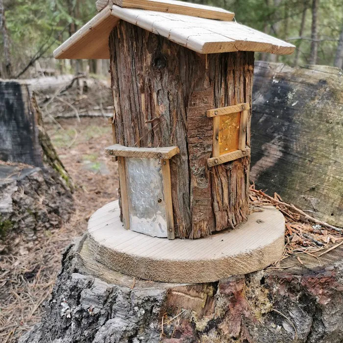 Robinson Lake Campground Picture 6