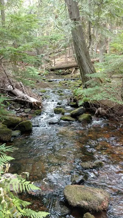 Robinson Lake Campground Picture 3