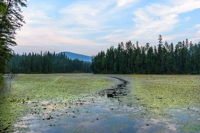 Robinson Lake Campground Picture 5