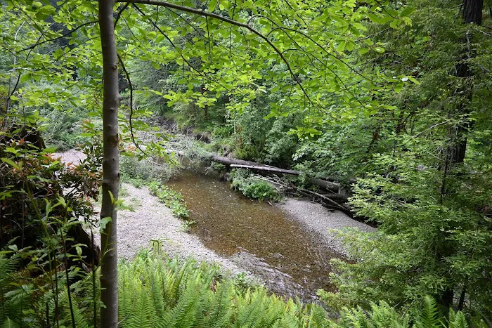 Mill Creek Campground Picture 8