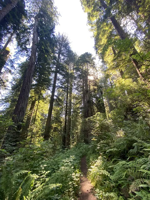 Mill Creek Campground Picture 9