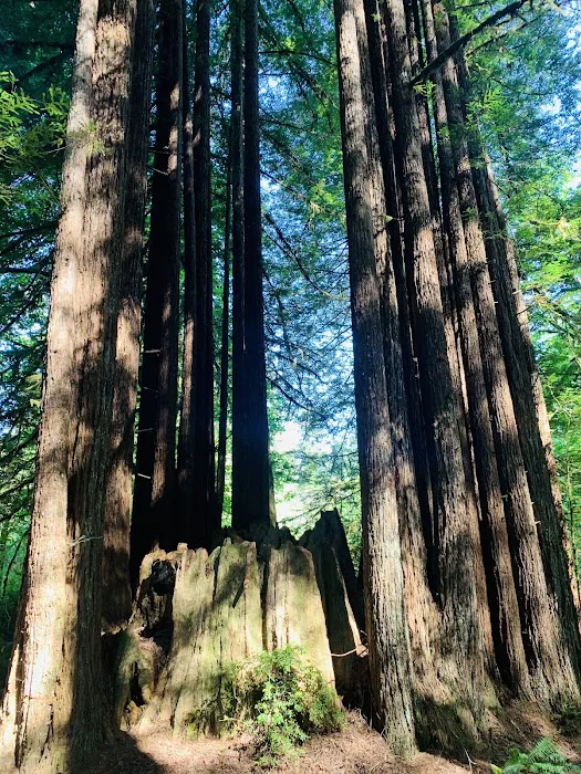 Mill Creek Campground Picture 1