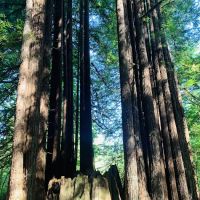 Mill Creek Campground ico