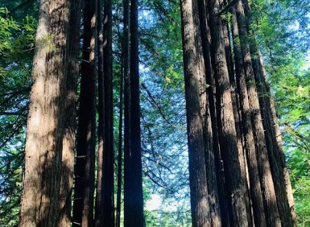 Mill Creek Campground