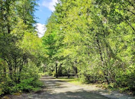 Big Flat Campground