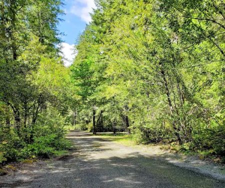 Big Flat Campground