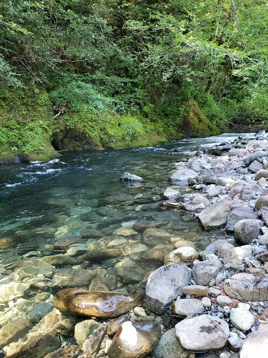 Big Flat Campground Picture 10