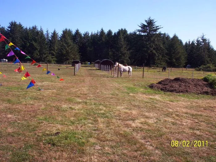 Orman Guest Ranch & Stables Picture 5