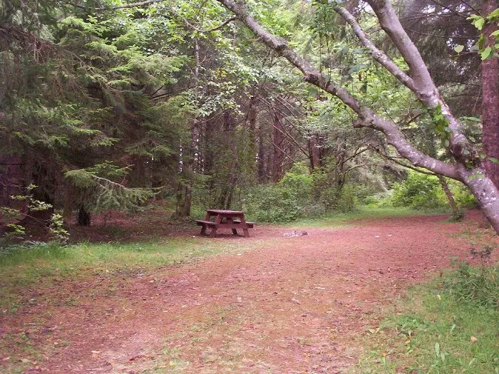 Orman Guest Ranch & Stables Picture 2