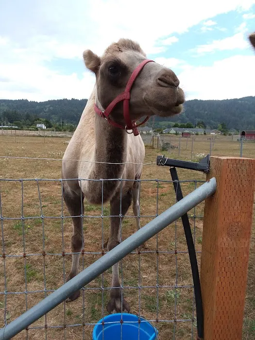 Orman Guest Ranch & Stables Picture 4