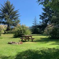 Orman Guest Ranch & Stables ico