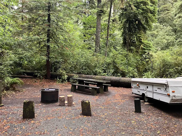 Jedediah Smith Campground Picture 5