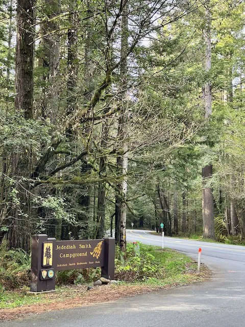Jedediah Smith Campground Picture 3