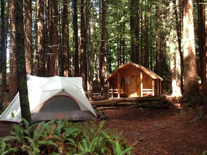 Crescent City / Redwoods KOA Holiday Picture 10