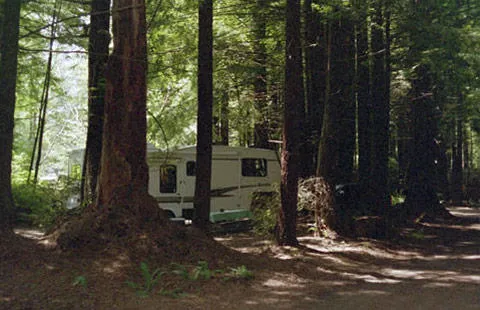 Crescent City / Redwoods KOA Holiday Picture 9