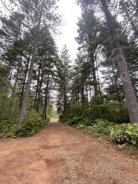 Free Your Mind Camping Picture 2