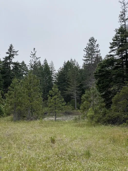 Free Your Mind Camping Picture 4