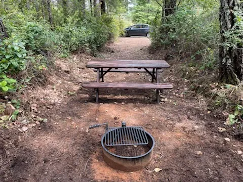 Free Your Mind Camping Picture 6