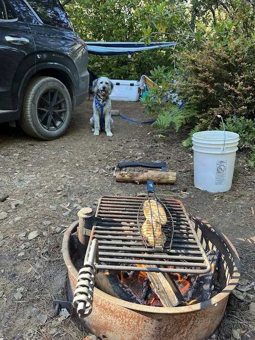 Free Your Mind Camping Picture 9