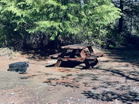 Free Your Mind Camping Picture 7