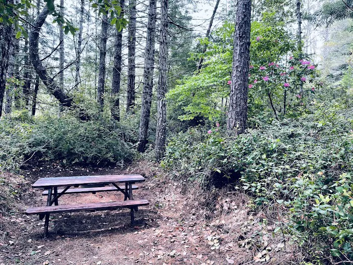 Free Your Mind Camping Picture 10