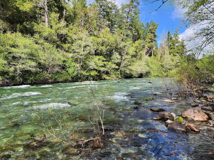 Panther Flat Campground Picture 6