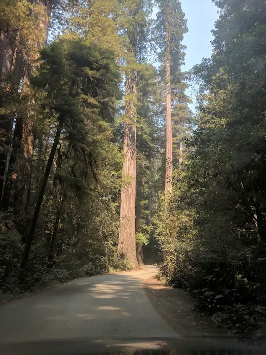 Panther Flat Campground Picture 4