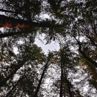 Grassy Flat Campground ico