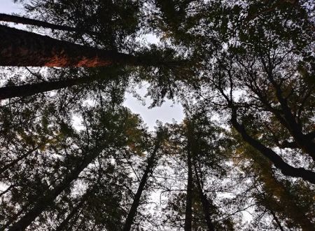 Grassy Flat Campground
