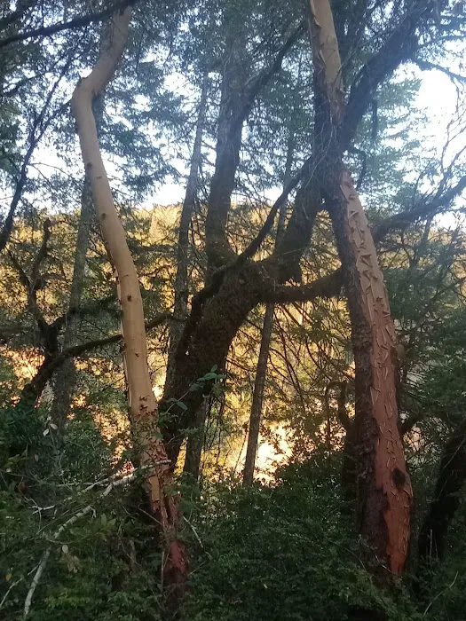 Grassy Flat Campground Picture 8