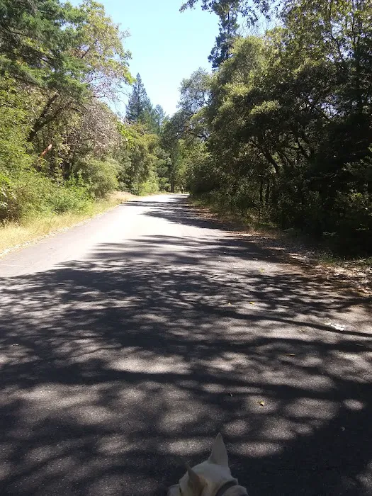 Grassy Flat Campground Picture 6
