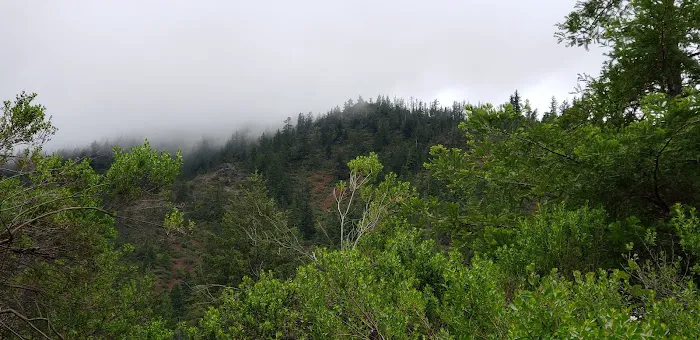 Grassy Flat Campground Picture 2