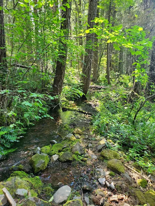 Whiskey Springs Campground Picture 5