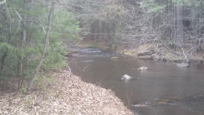 Fourbit Ford Campground Picture 5