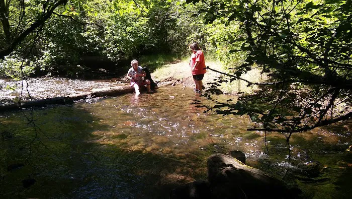Fourbit Ford Campground Picture 8