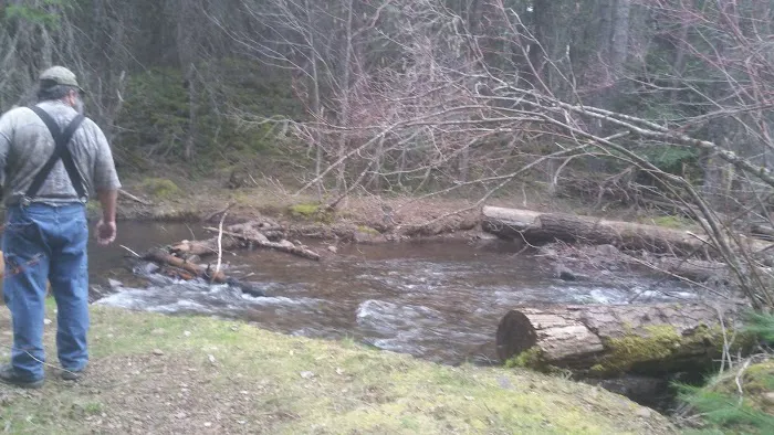 Fourbit Ford Campground Picture 4