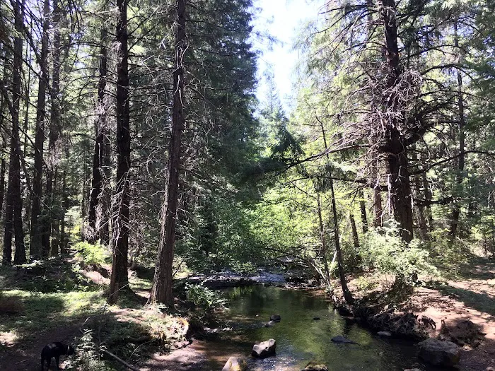 Fourbit Ford Campground Picture 10