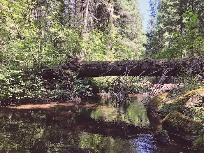 Fourbit Ford Campground Picture 9