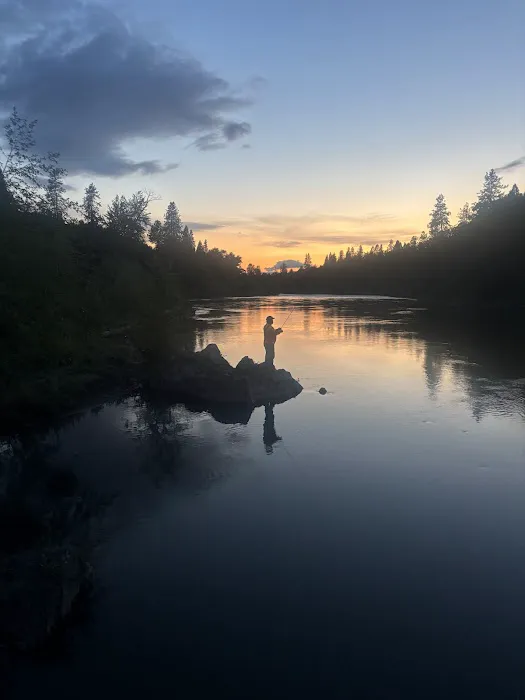 Rogue River Campground & RV Resort Picture 5