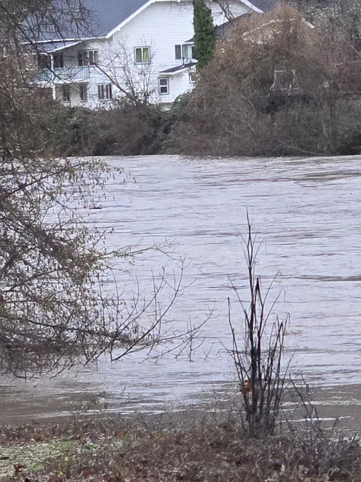 Rogue River Campground & RV Resort Picture 4