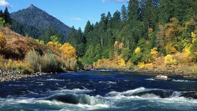 Rogue River Campground & RV Resort Picture 10