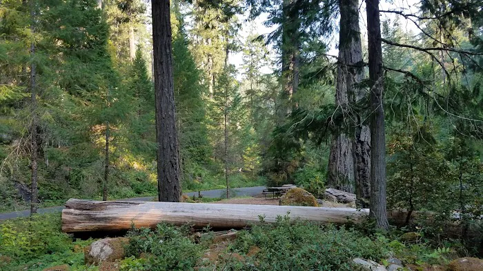 Cave Creek Campground Picture 2