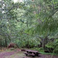 Cave Creek Campground ico