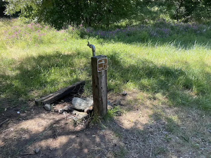 Chinquapin Group Campground Picture 6