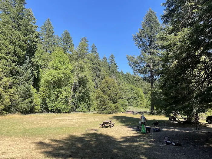 Chinquapin Group Campground Picture 7