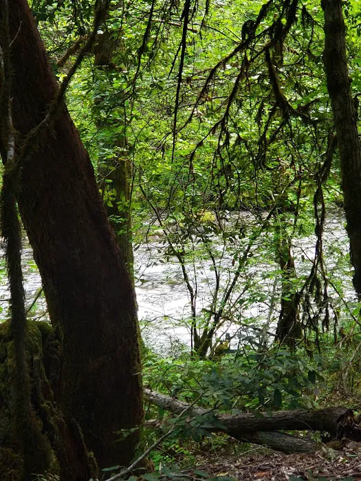 Grayback Campground Picture 6